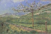 Ferdinand Hodler Apple tree in Blossom USA oil painting artist